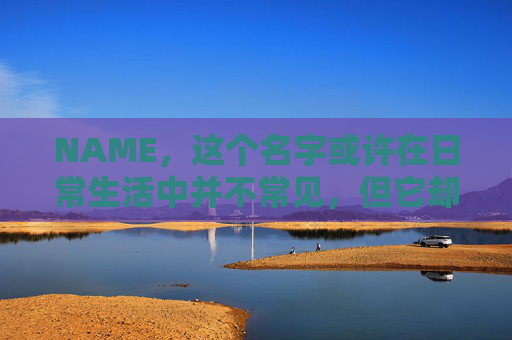 NAME，这个名字或许在日常生活中并不常见，但它却在某些领域里扮演着重要的角色。今天，让我们一起来探索这个名字背后的故事和意义